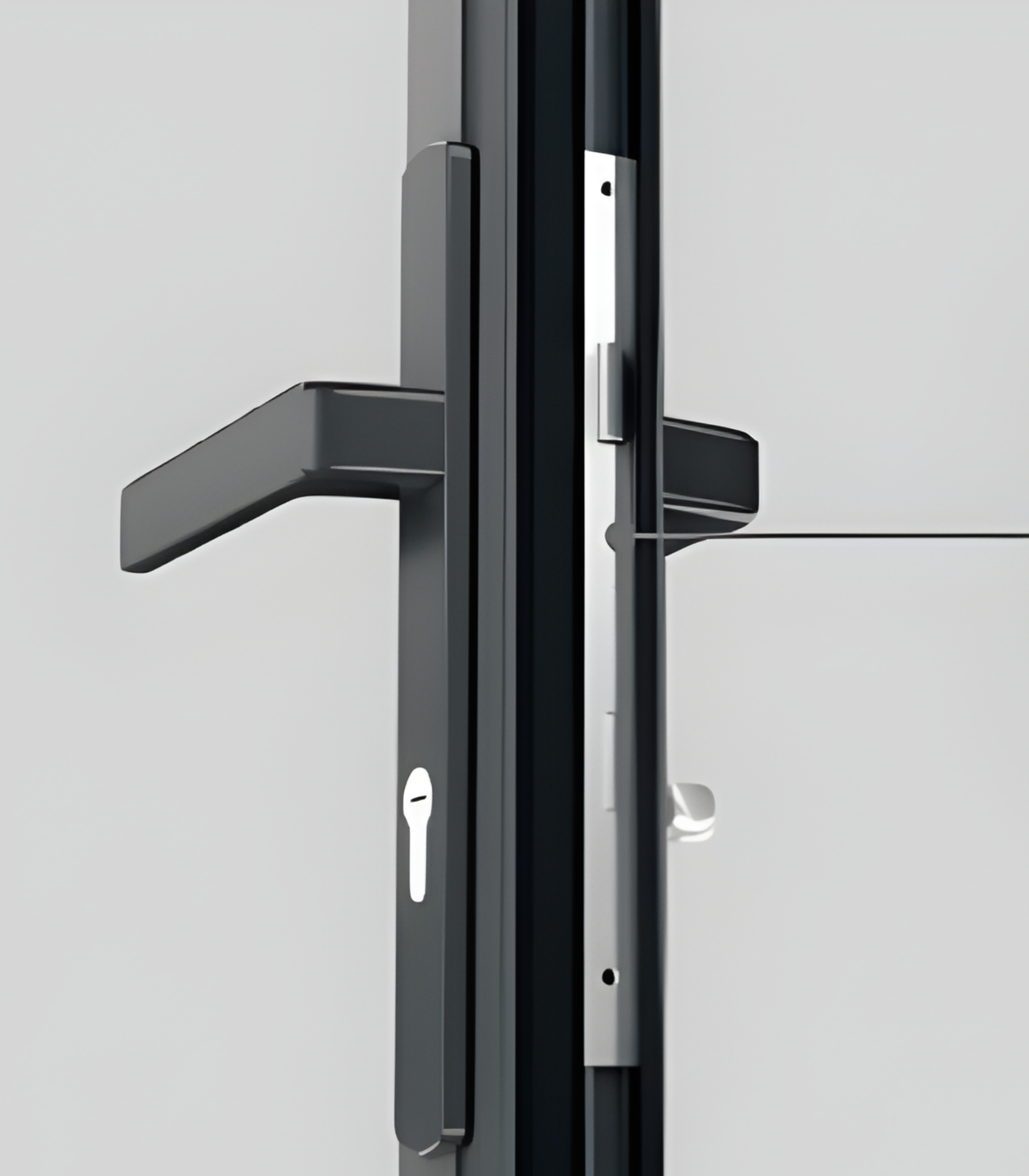 VLX 100 Swing / Entry Door in Hialeah, FL | TruePane Windows & Doors - detail 5